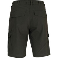 Ternua pantalón corto montaña hombre NEWLAND BMD M vista trasera