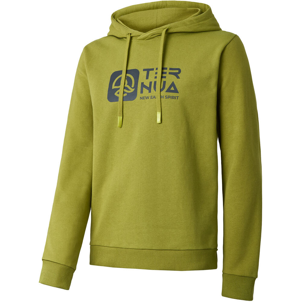 Ternua Sudaderas Montaña Hombre AILIK HOODY M vista frontal