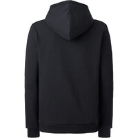 Ternua Sudaderas Montaña Hombre AILIK HOODY M vista trasera