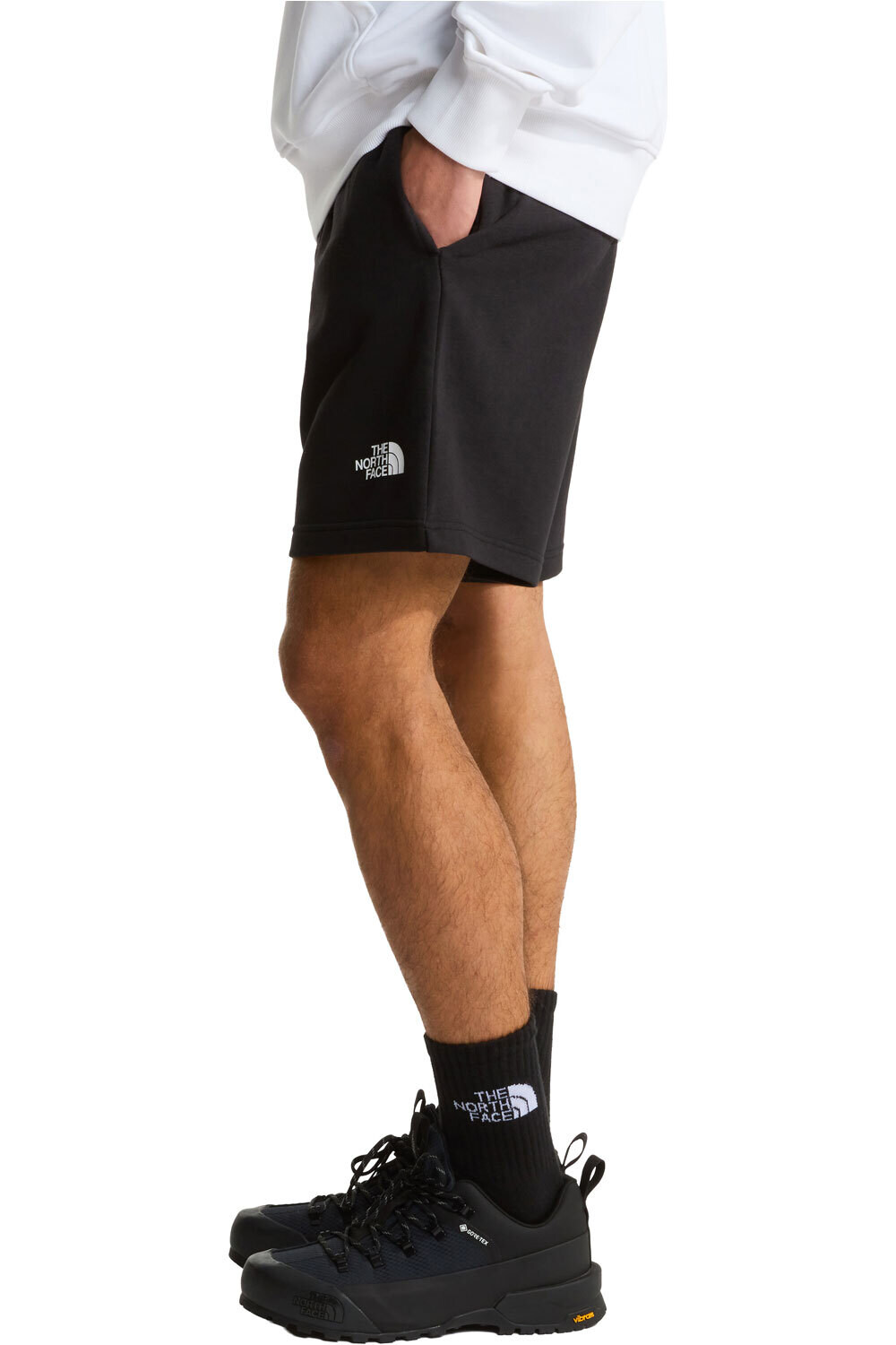 The North Face bermudas hombre M SIMPLE DOME LIGHT REGULAR SHORTS vista detalle