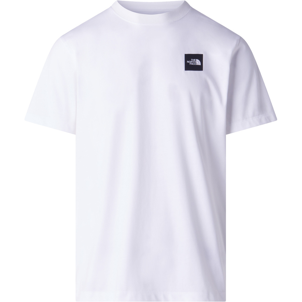 The North Face camiseta manga corta hombre M EVOLUTION BOX HALF DOME vista detalle