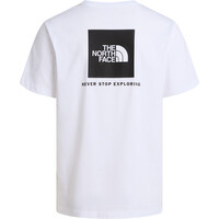 The North Face camiseta manga corta hombre M EVOLUTION BOX NSE REGULAR SHORT SLEEVE 03