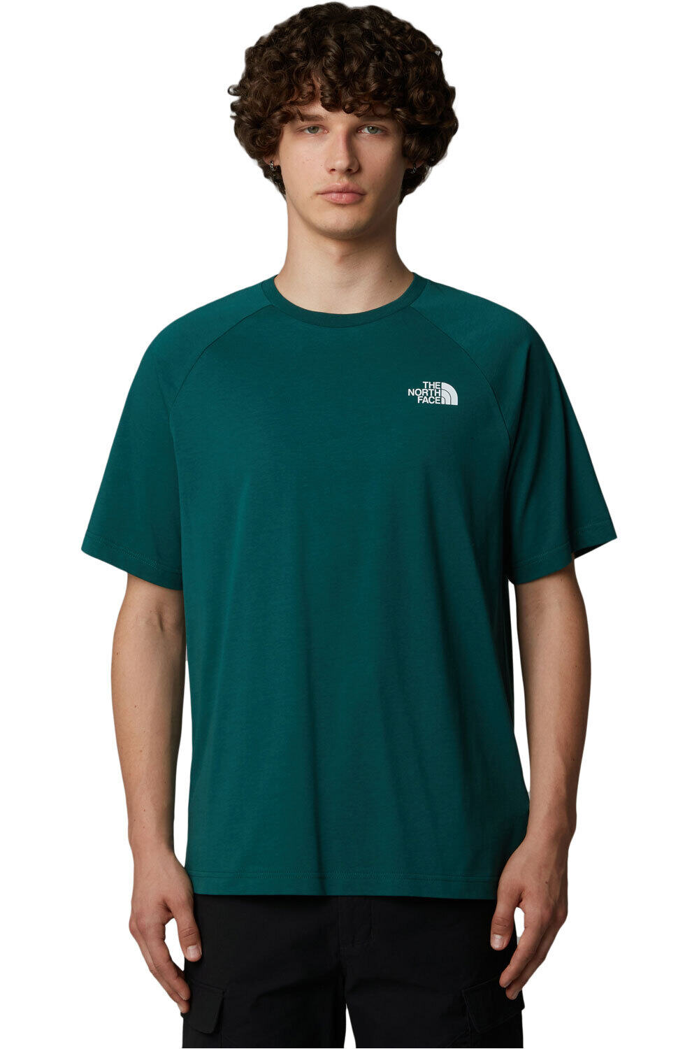 The North Face camiseta manga corta hombre M S/S NORTH FACES TEE vista frontal
