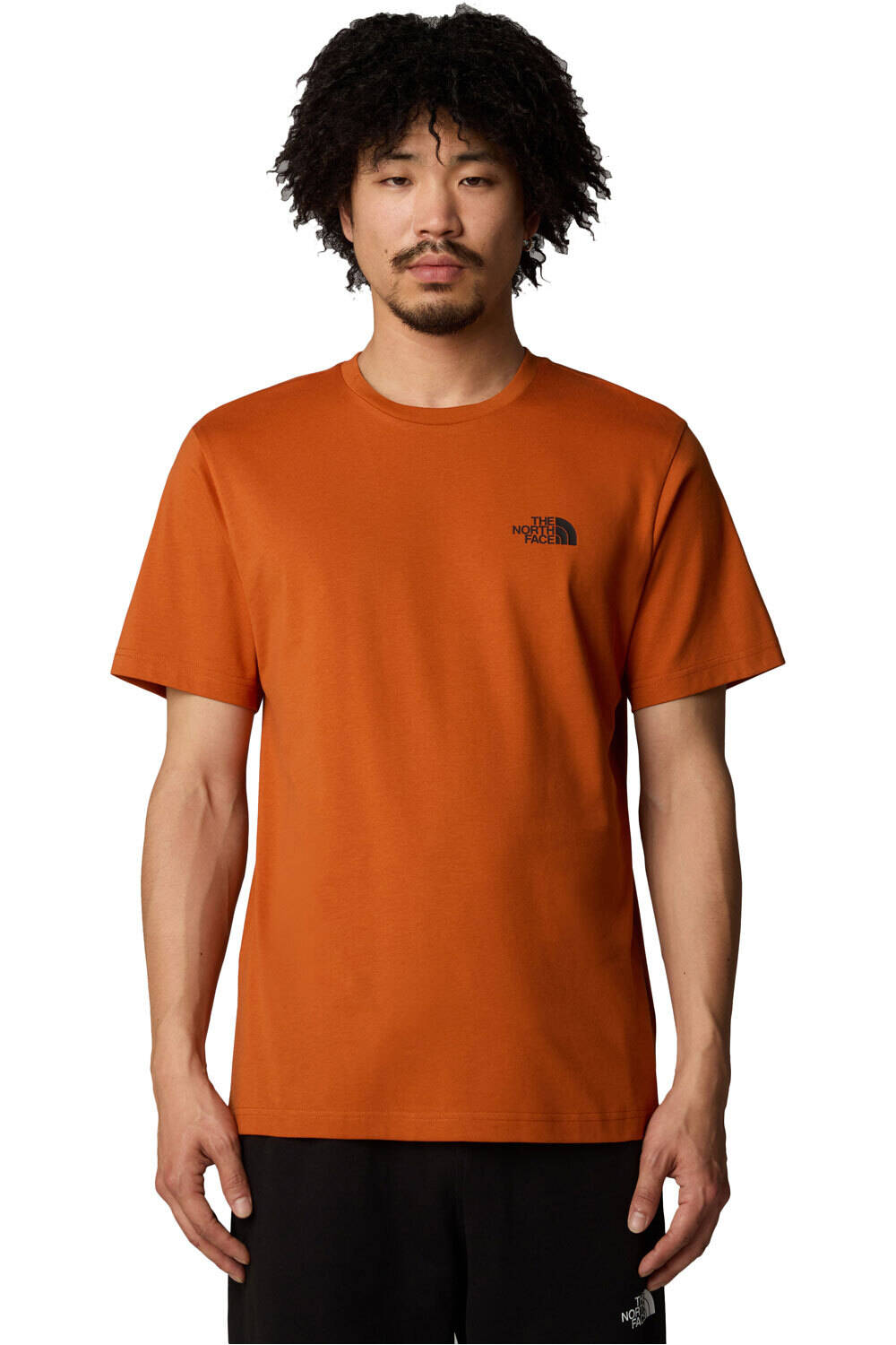 The North Face camiseta manga corta hombre M S/S SIMPLE DOME TEE vista frontal