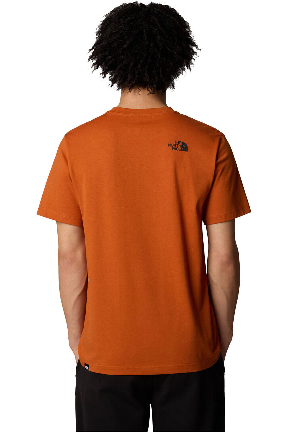 The North Face camiseta manga corta hombre M S/S SIMPLE DOME TEE vista trasera