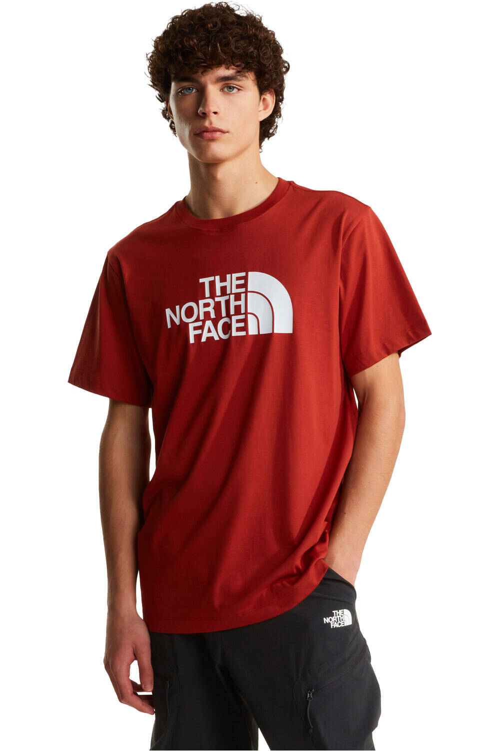 The North Face camiseta manga corta hombre _M_M EVOLUTION HALF DOME vista frontal