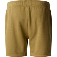 The North Face camiseta manga corta niño TEEN SIMPLE DOME LIGHT REG SHORT 03