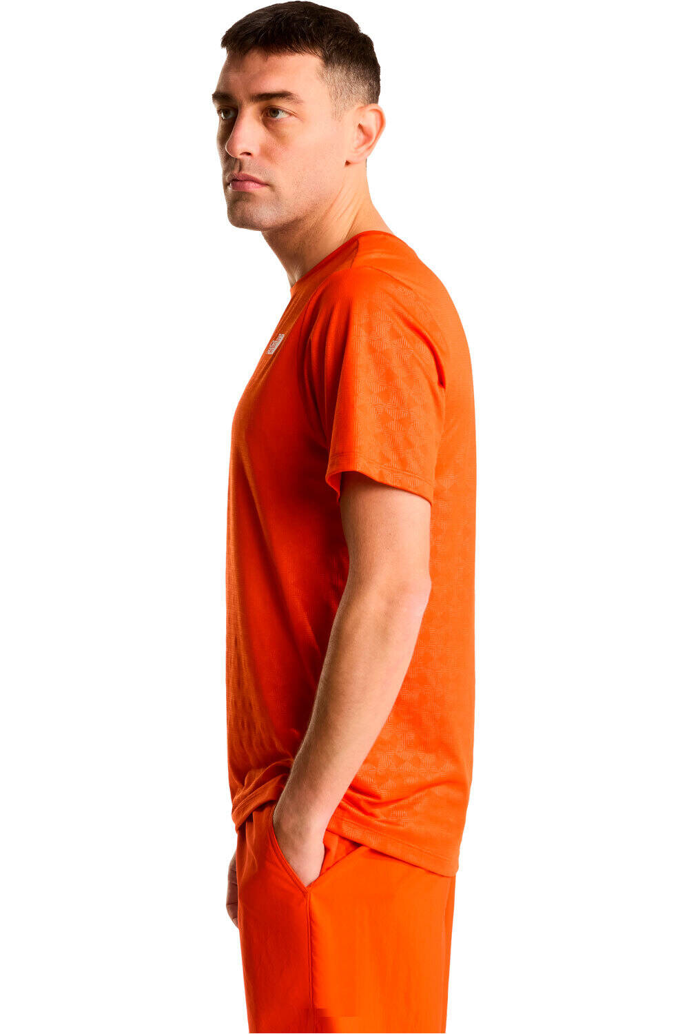 The North Face camiseta montaña manga corta hombre M 24/7 PENTADOME EMBOSSED REG SHORT SLEE vista detalle