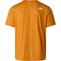 The North Face camiseta montaña manga corta hombre M 24/7 PENTADOME EMBOSSED REG SHORT SLEE vista trasera