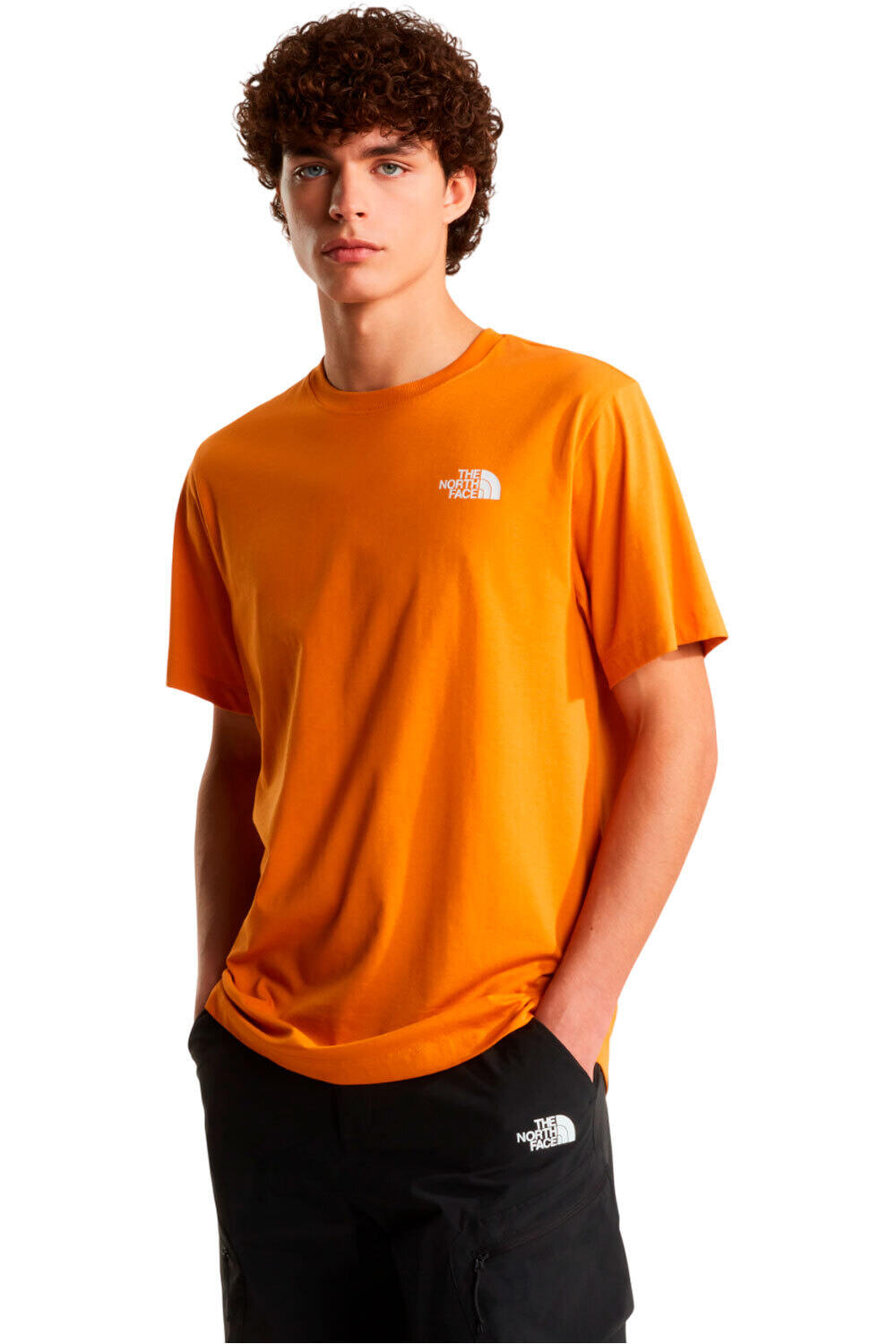 The North Face camiseta montaña manga corta hombre M EVOLUTION BOX NSE REGULAR SHORT SLEEVE vista frontal