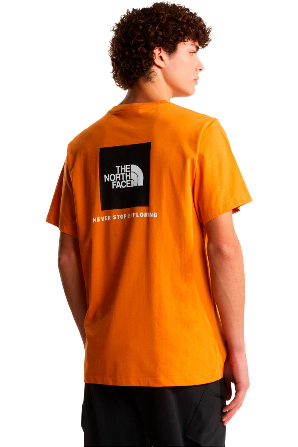 The North Face camiseta montaña manga corta hombre M EVOLUTION BOX NSE REGULAR SHORT SLEEVE vista trasera