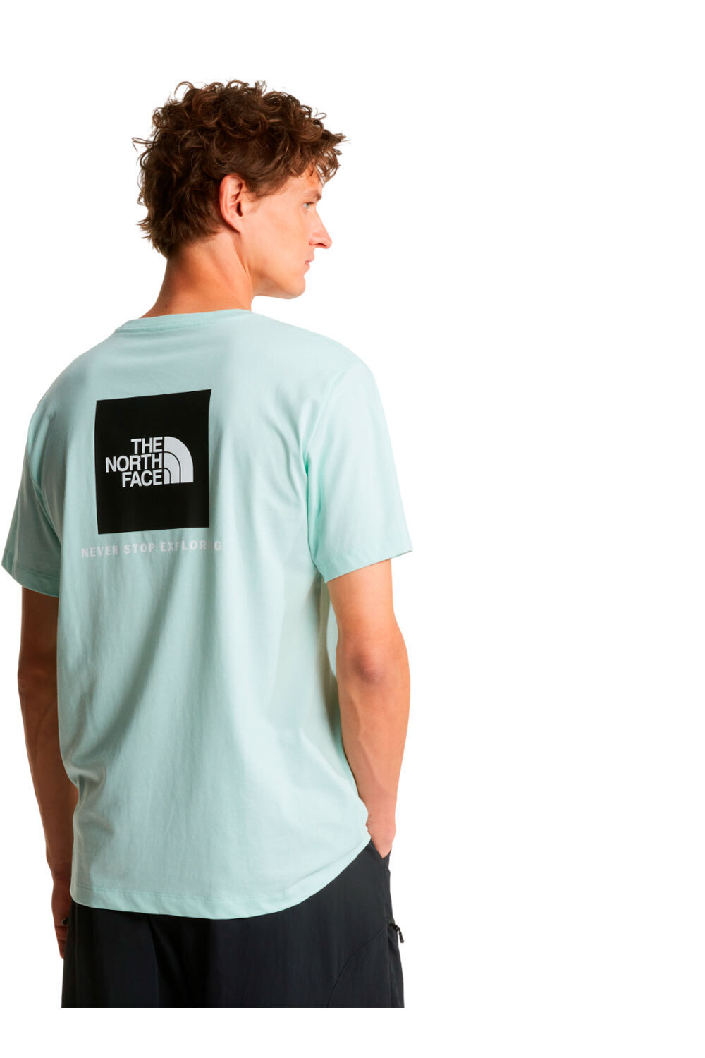 The North Face camiseta montaña manga corta hombre M EVOLUTION BOX NSE REGULAR SHORT SLEEVE vista trasera
