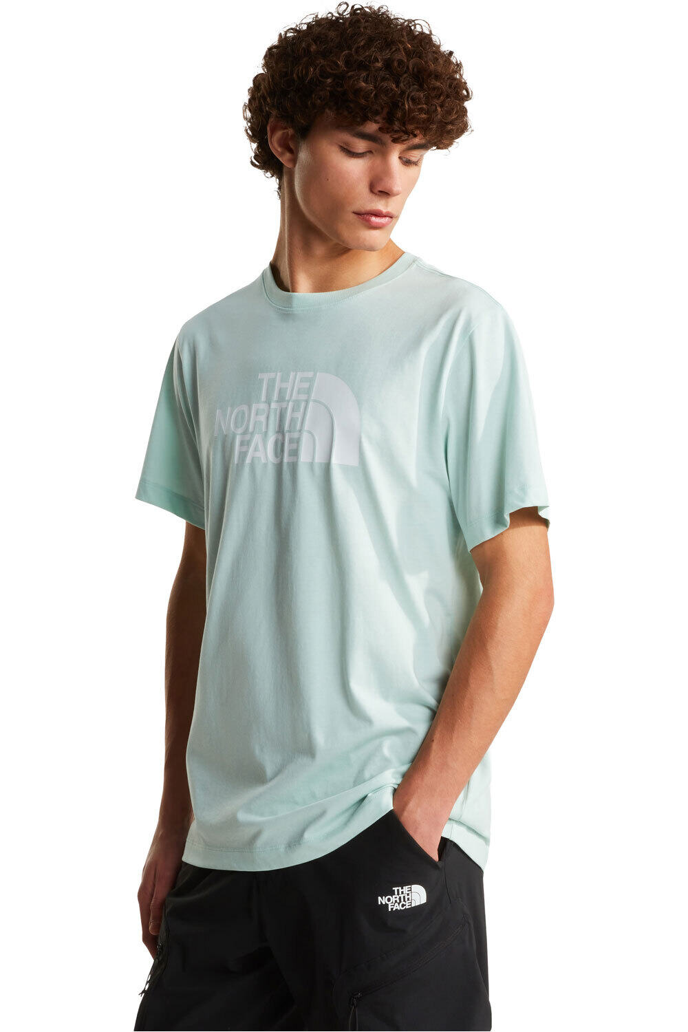 The North Face camiseta montaña manga corta hombre M EVOLUTION HALF DOME REGULAR SHORT SLEE vista frontal