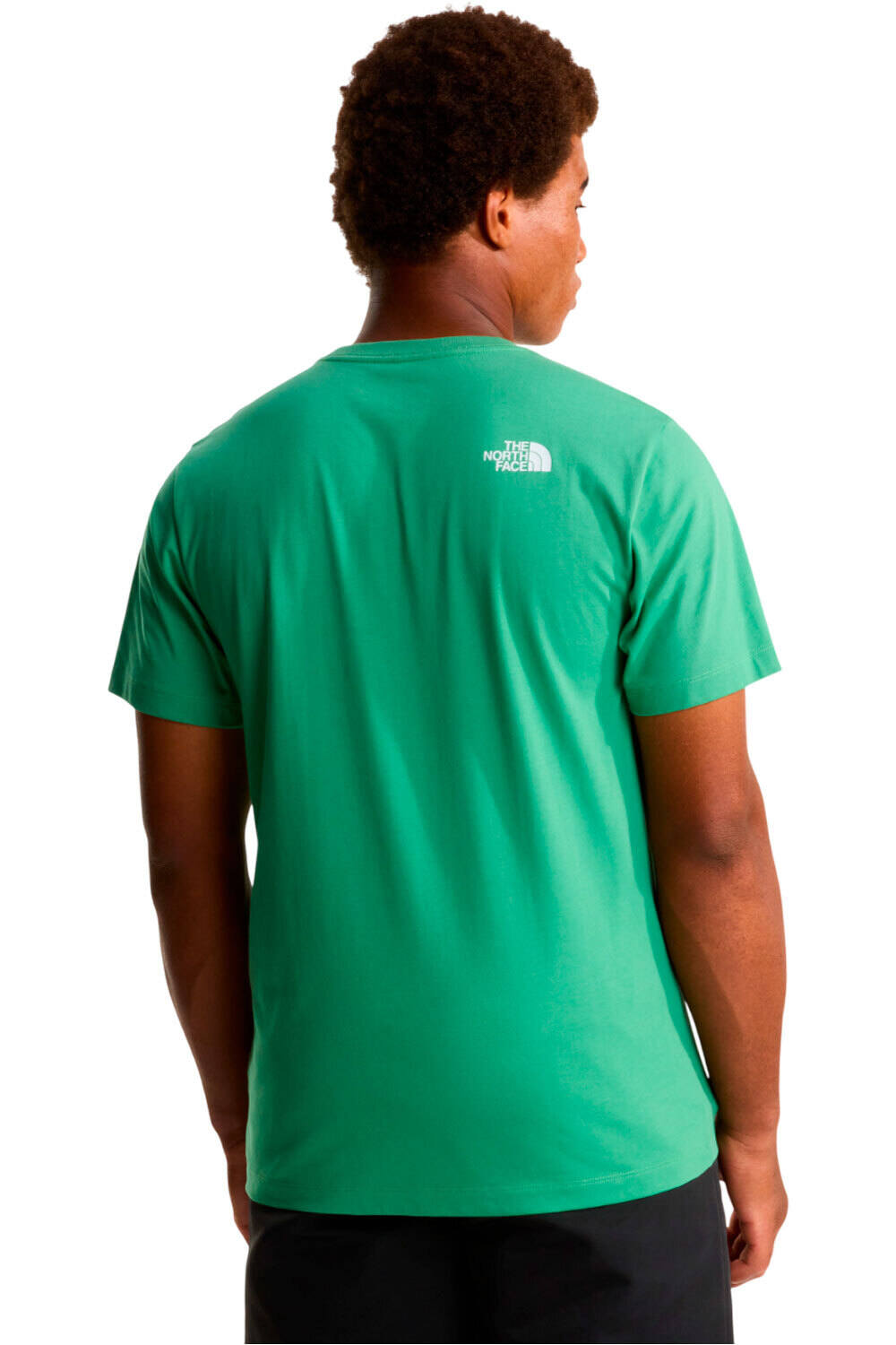 The North Face camiseta montaña manga corta hombre M EVOLUTION HALF DOME REGULAR SHORT SLEE vista trasera