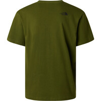 The North Face camiseta montaña manga corta hombre M MOUNTAIN LOGO RELAXED SHORT SLEEVE TEE 04