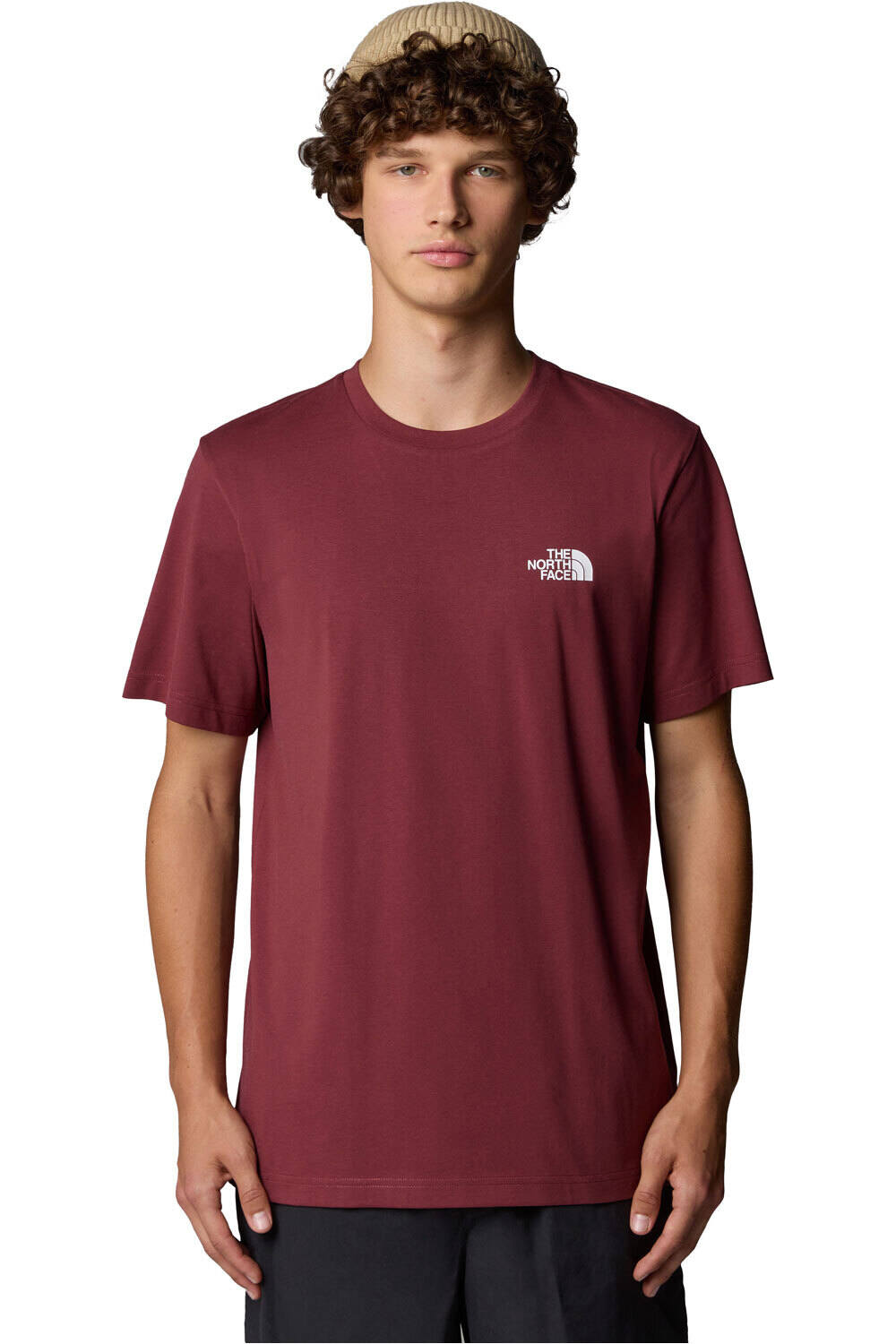 The North Face camiseta montaña manga corta hombre M S/S SIMPLE DOME TEE vista frontal