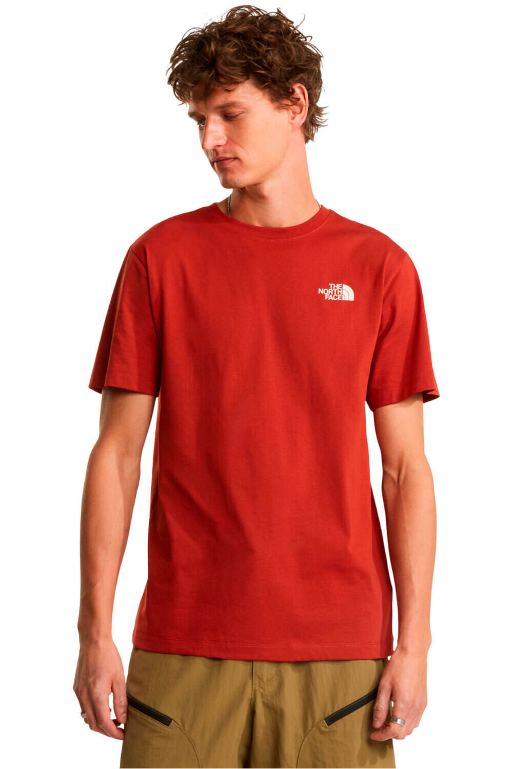 The North Face camiseta montaña manga corta hombre M VERTICAL REGULAR SHORT SLEEVE TEE-GRAP vista frontal