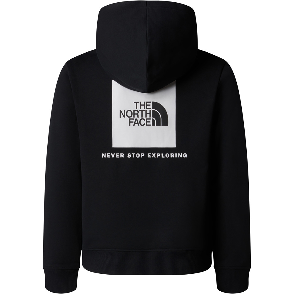 The North Face camiseta montaña manga larga niño TEEN BOX NSE REGULAR HOODIE vista trasera