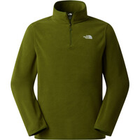 The North Face forro polar hombre M GLACIER FLEECE 1/4 ZIP JACKET vista detalle