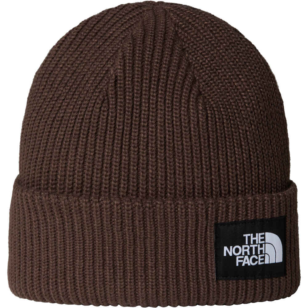 The North Face gorro esquí hombre SALTY LINED BEANIE vista frontal