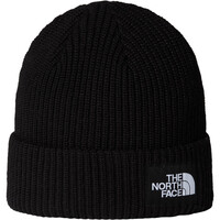 The North Face gorro esquí hombre SALTY LINED BEANIE vista frontal