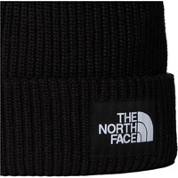 The North Face gorro esquí hombre SALTY LINED BEANIE vista trasera