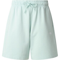 The North Face pantalón corto deporte mujer W ESSENTIAL LIGHT RELAXED SHORTS vista detalle