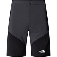 The North Face pantalón corto montaña hombre M FELIK SLIM TAPERED SHORT vista detalle