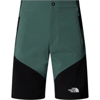 The North Face pantalón corto montaña hombre M FELIK SLIM TAPERED SHORT vista detalle