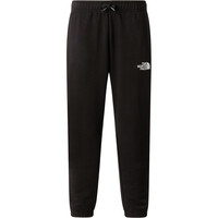 The North Face pantalón niño TEEN SIMPLE DOME LIGHT REG TAP JOGGERS vista detalle
