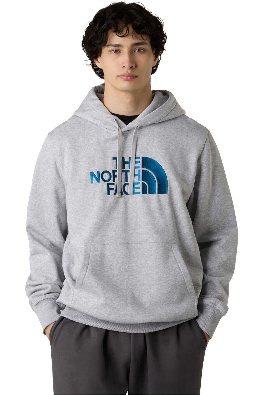 The North Face sudadera hombre M DREW PEAK PULLOVER HOODIE vista frontal
