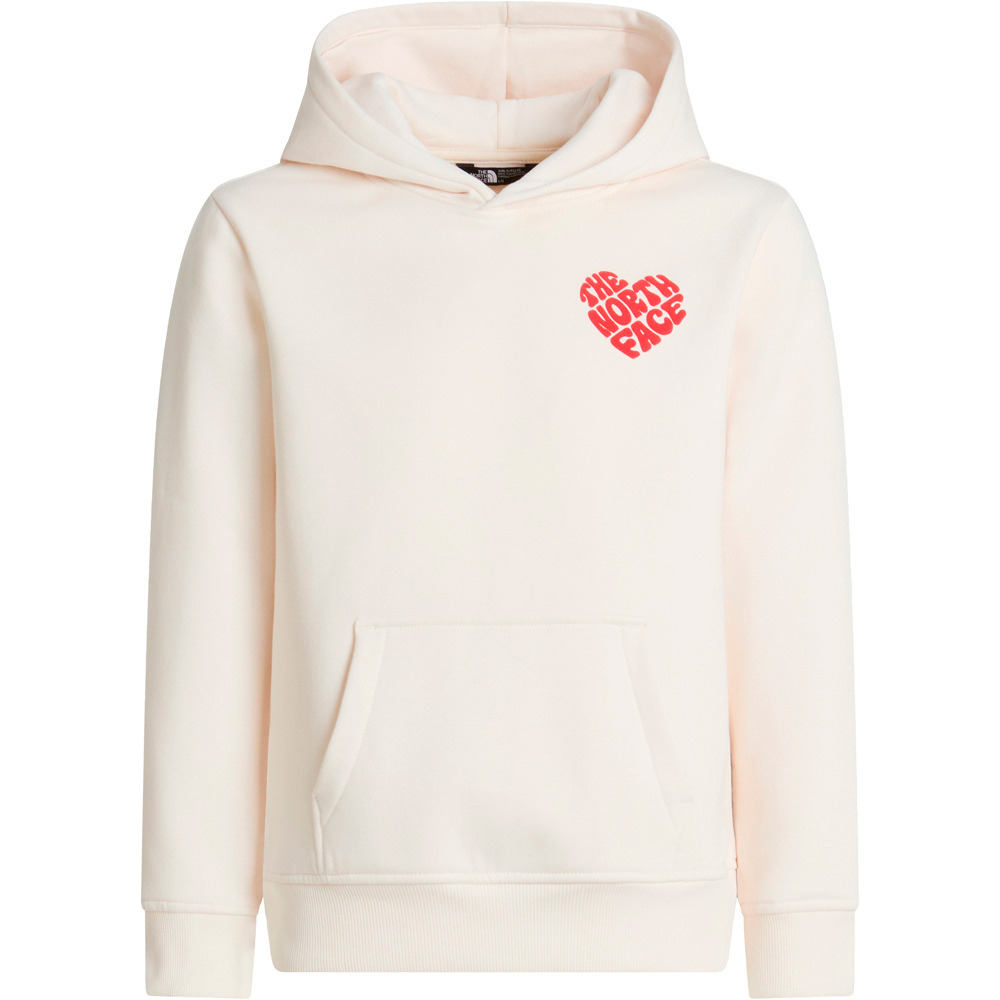 The North Face sudadera niña G BRAND PROUD RELAXED HOODIE vista detalle