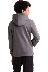 The North Face sudadera niño B LIQUID LOGO REG HOODIE vista trasera