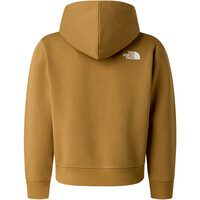 The North Face sudadera niño B MOUNTAIN NIGHT RELAXED HOODIE 03