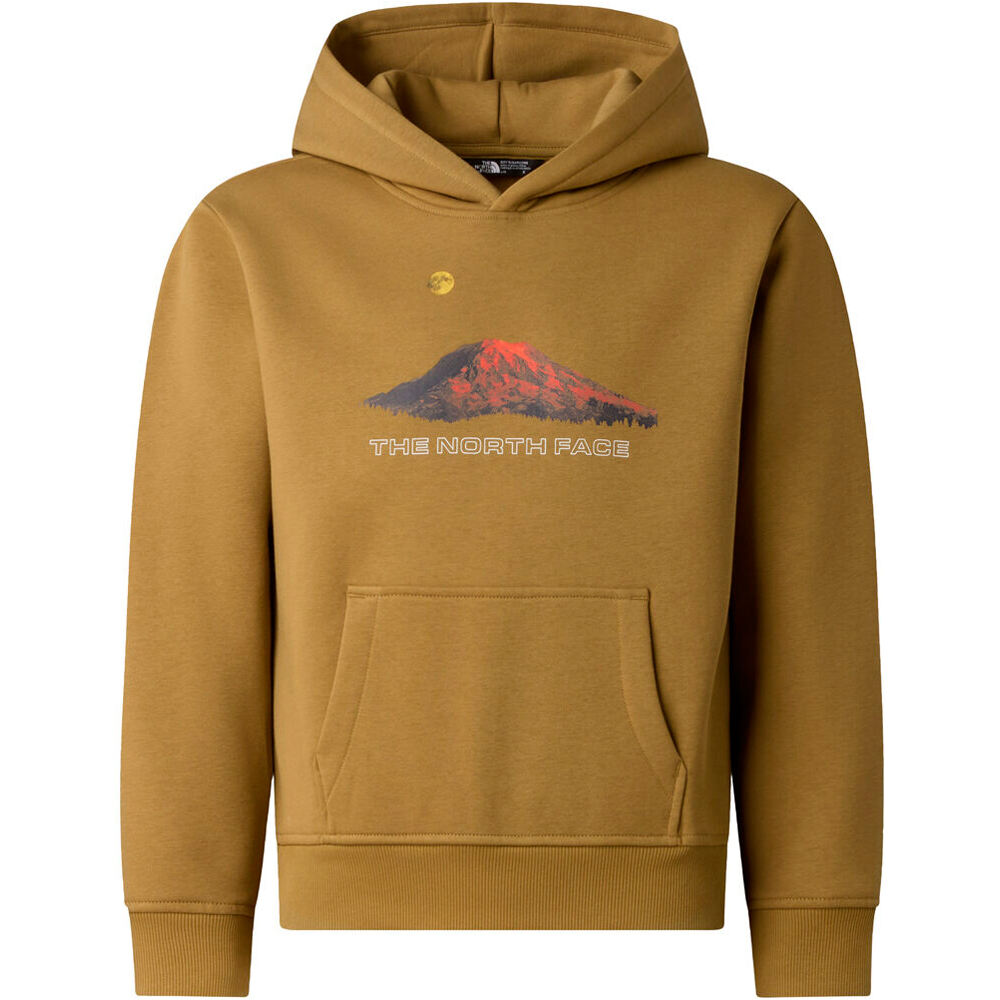 The North Face sudadera niño B MOUNTAIN NIGHT RELAXED HOODIE vista detalle