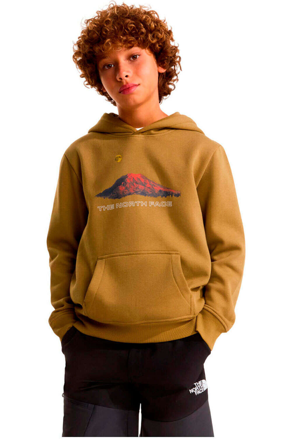 The North Face sudadera niño B MOUNTAIN NIGHT RELAXED HOODIE vista frontal