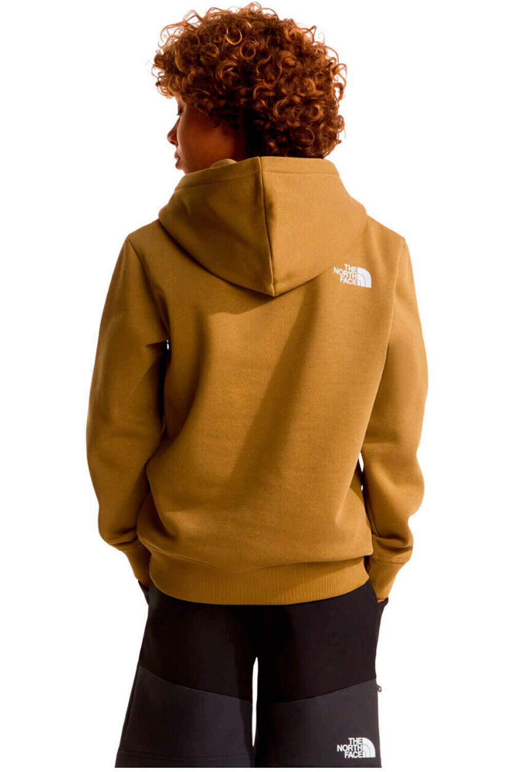 The North Face sudadera niño B MOUNTAIN NIGHT RELAXED HOODIE vista trasera