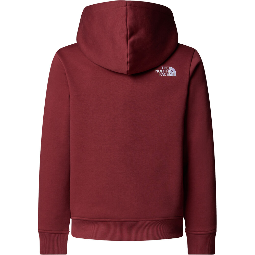 The North Face sudadera niño TEEN DREW PEAK PULLOVER HOODIE 03