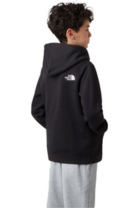 The North Face sudadera niño TEEN DREW PEAK PULLOVER HOODIE vista trasera