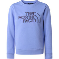 The North Face sudadera niño TEEN DREW PEAK REG CW vista detalle