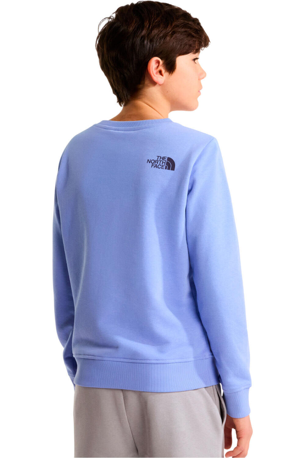 The North Face sudadera niño TEEN DREW PEAK REG CW vista trasera