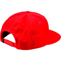 Troy-Lee gorras ciclismo FLAT BILL SNAPBACK SIGNATURE vista trasera