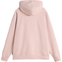 Vans sudadera mujer FLYING V BFF HOODIE EMEA FLYING V vista trasera