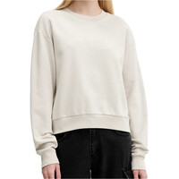 Vans sudadera mujer W ESSENTIAL H-FT RLX CREW vista frontal