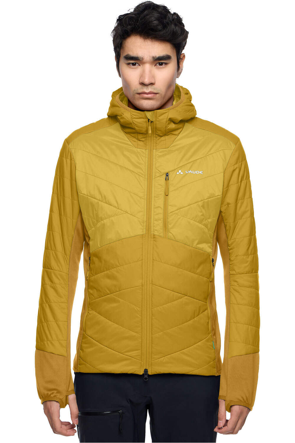 Vaude chaqueta outdoor hombre Men s Sesvenna Jacket IV vista frontal