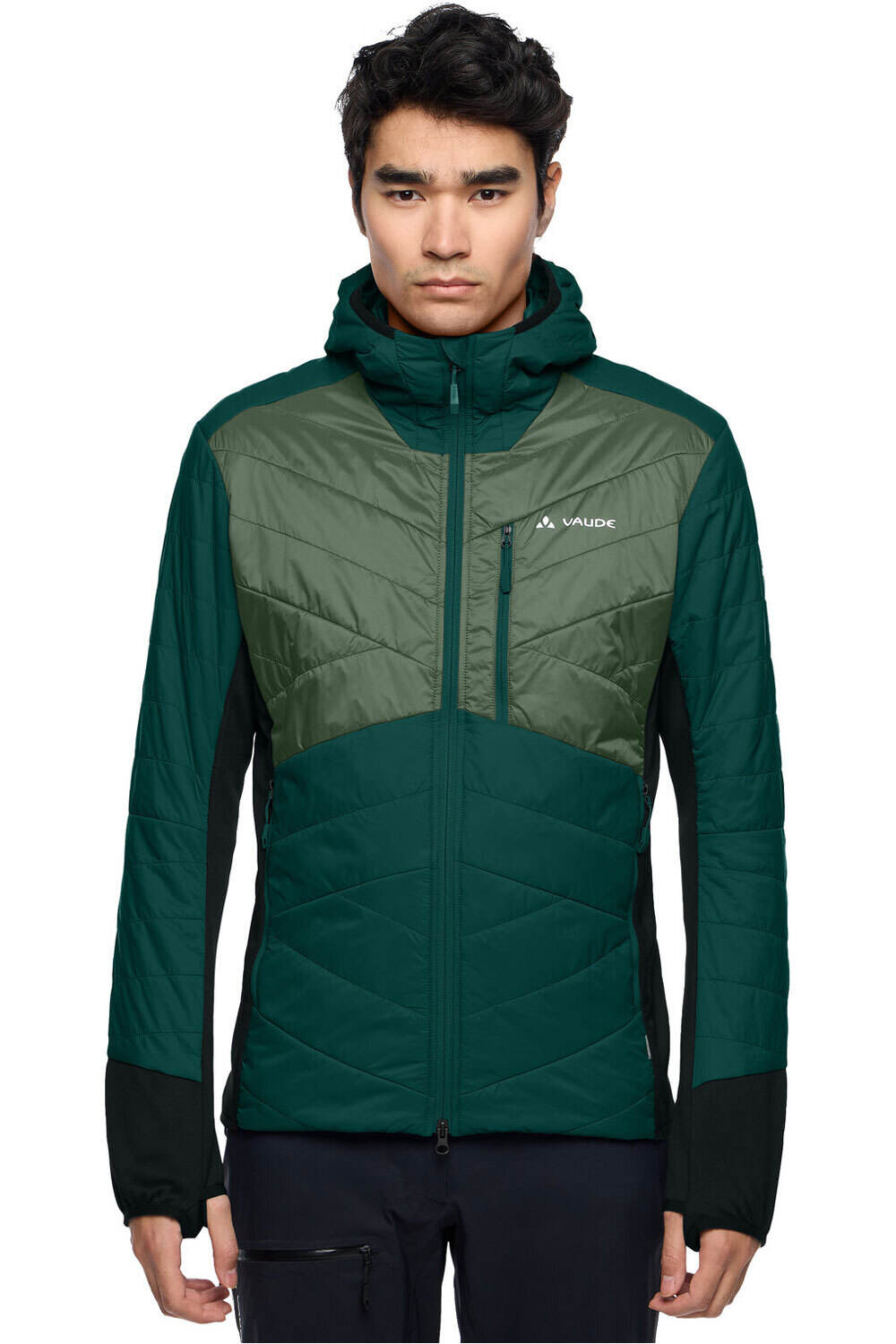 Vaude chaqueta outdoor hombre Men s Sesvenna Jacket IV vista frontal